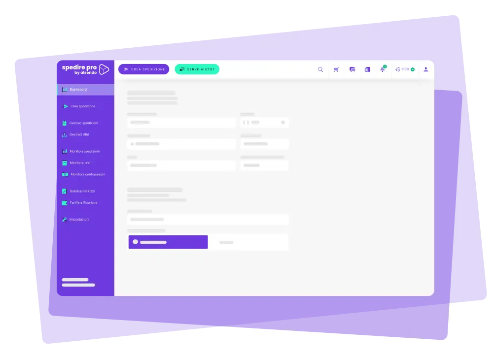 Spedire Pro dashboard preview